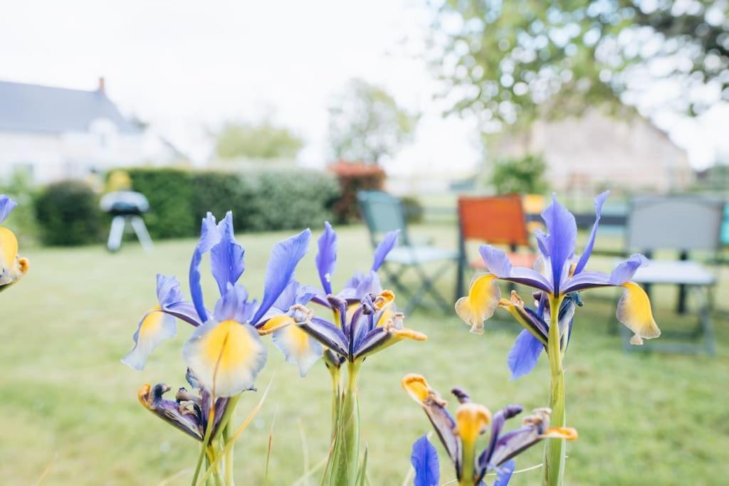 Le Beaumont • La Belle Campagne • La Plenitude Villa Deols Exterior photo